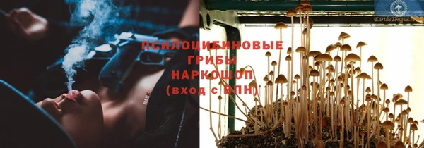 прущая мука Белокуриха