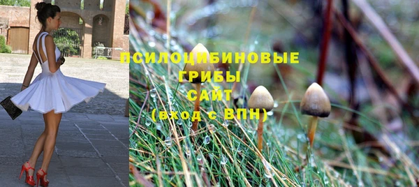 apvp Богданович